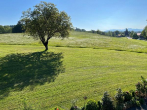 Ferienwohnung Gruberhof Rimsting